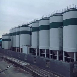 腳下百米深淵,最近溫州這條玻璃棧道火了 邀你來體驗