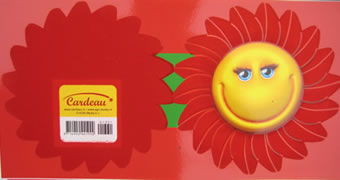 包裝材料植絨加工 產(chǎn)品詳情